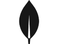 MongoDB
