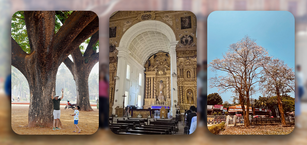 Basilica of Bom Jesus